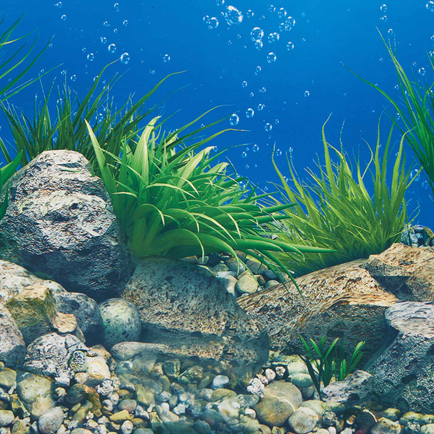 Aquarium Fish Wallpaper Hd - AB33-Akvaryum Arka Plan Kağıdı HD Resim