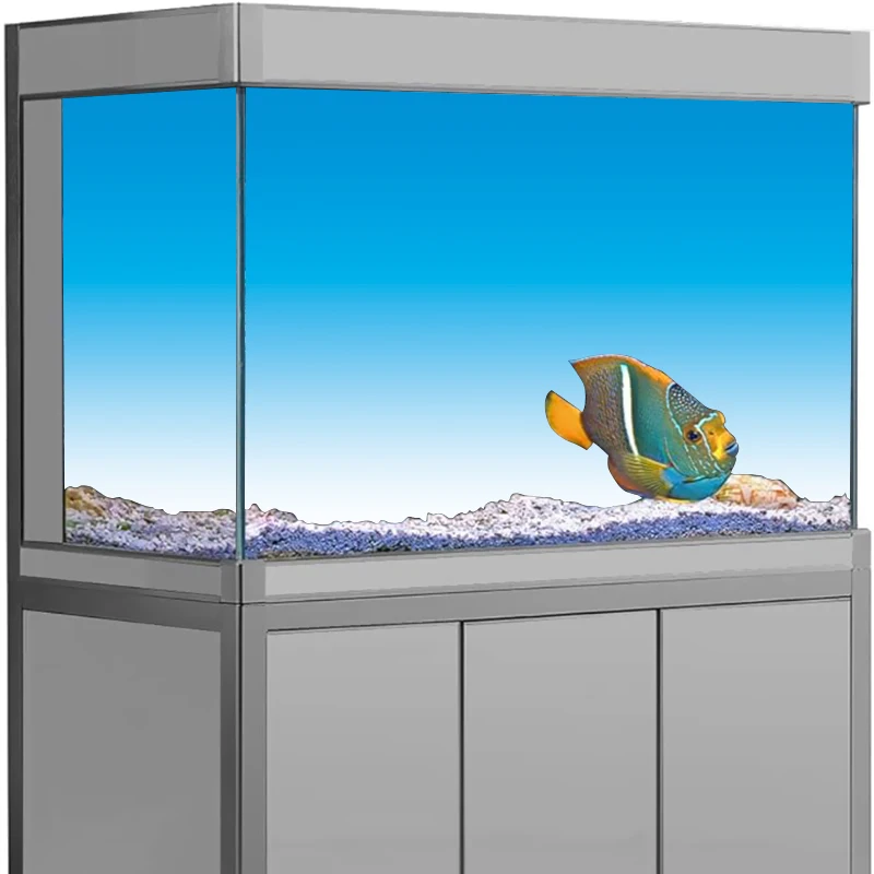 Aquarium Fish Wallpaper Hd - Akvaryum Arka Plan Çıkartması, Mavi Geçişli