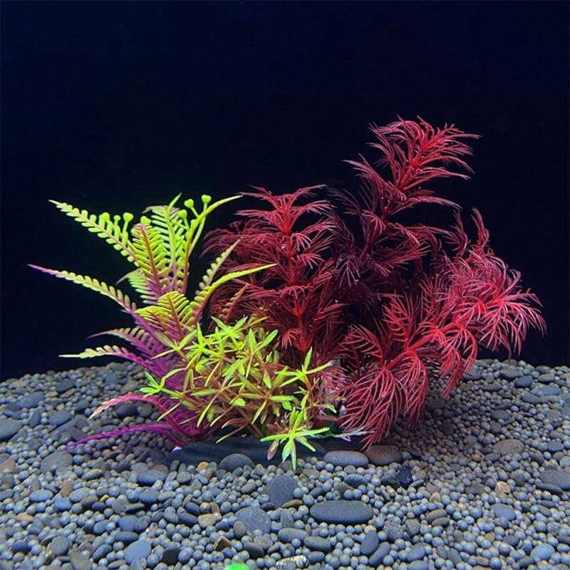 Aquarium Fish For Sale - Yapay Akvaryum Dekorasyon Bitki Balık Dekorasyon