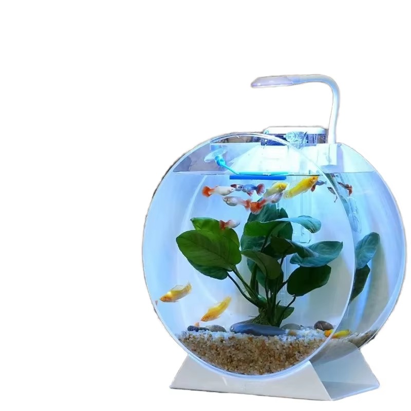 Aquarium Fish For Sale - Sıcak Fırsat Modern Çevre Dostu Akrilik