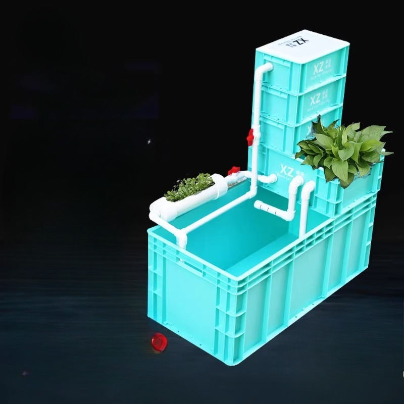 Aquarium Fish Low Maintenance - Dahili Filtreli Kaplumbağa Tankı, Su Kaplumbağaları