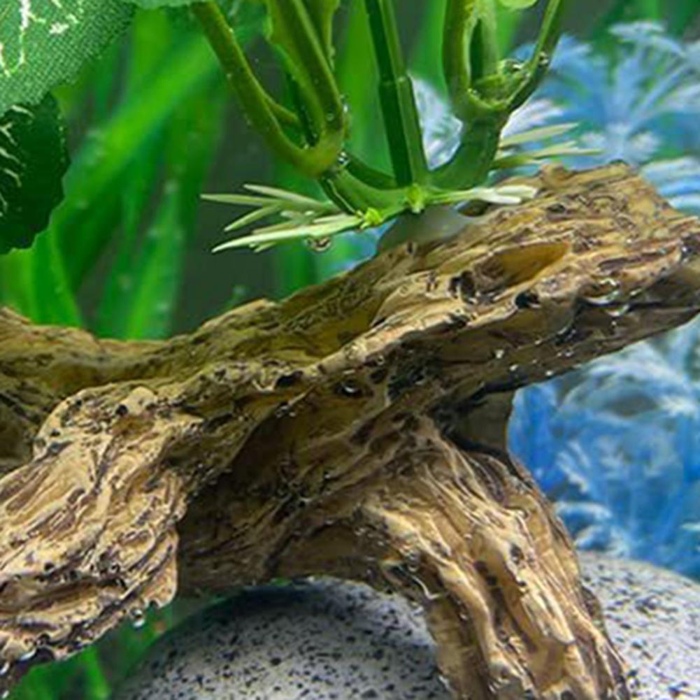 Aquarium Fish Low Maintenance - Az Bakım Gerektiren Balık Tankı Süsü