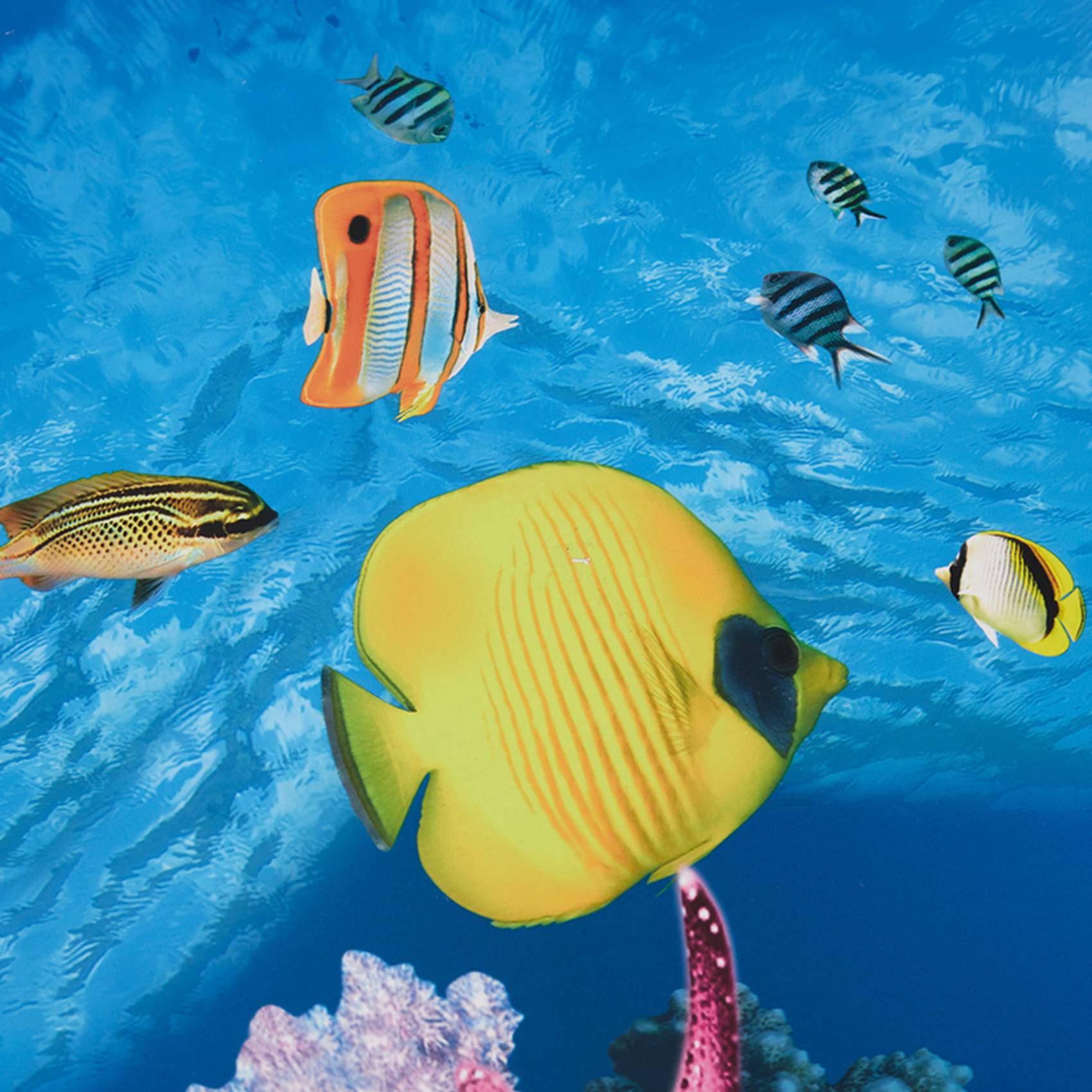 Aquarium Fish Wallpaper Hd - BAAU Akvaryum Arka Plan Kağıdı HD
