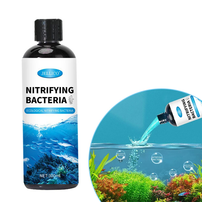 Aquarium Fish House - Nitrifikasyon Bakteri Sıvı Balık Tankı Su