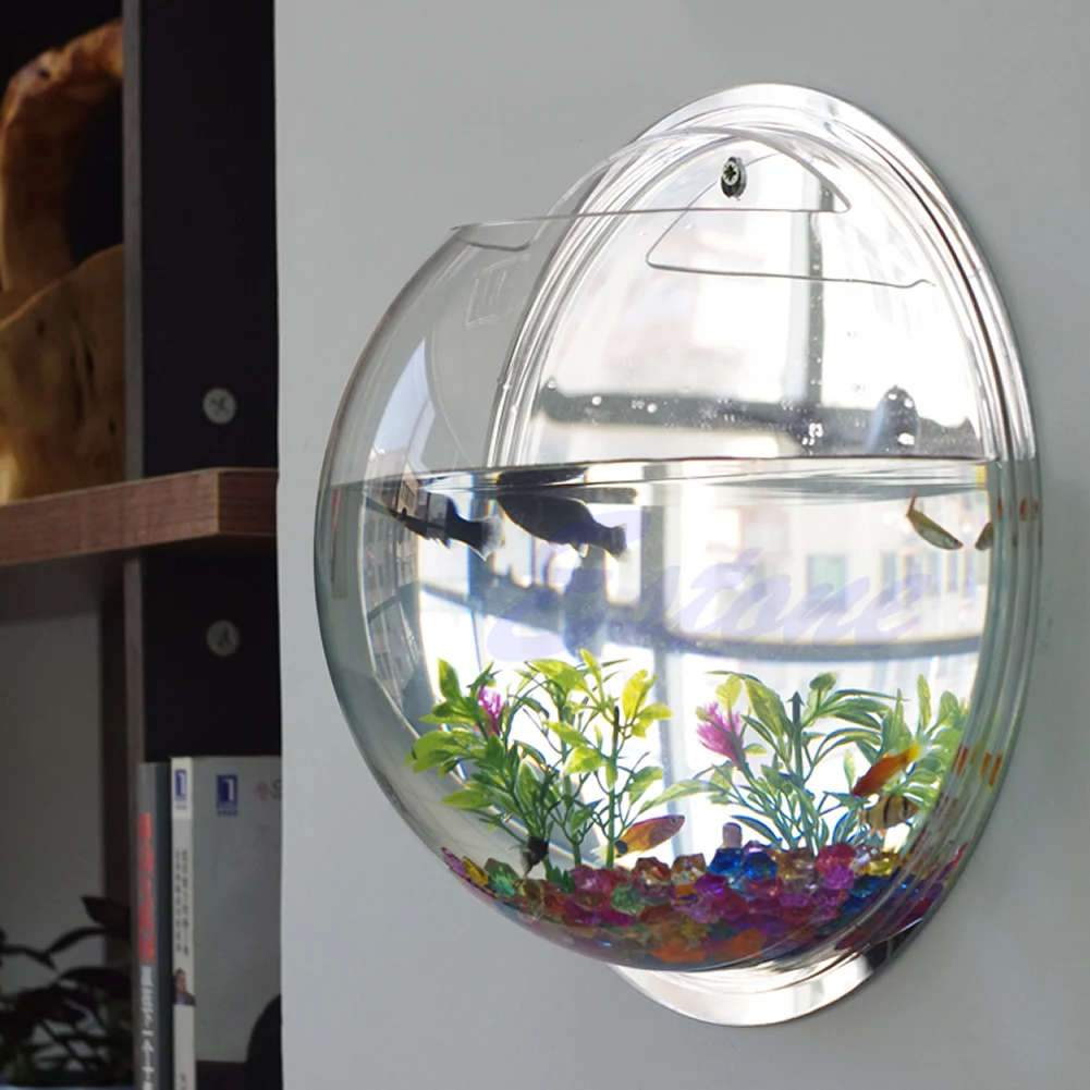 Aquarium Fish In Bowl - Pot Duvar Asılı Montaj Kabarcık Akvaryum