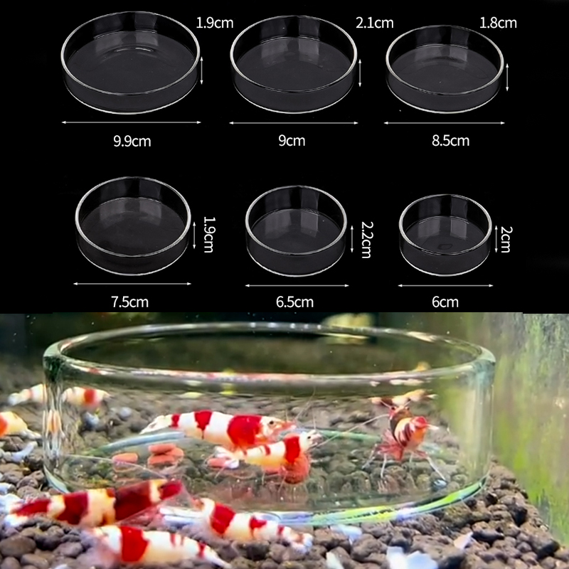Aquarium Fish In Bowl - Karides besleme kabı Yüksek Şeffaf Cam