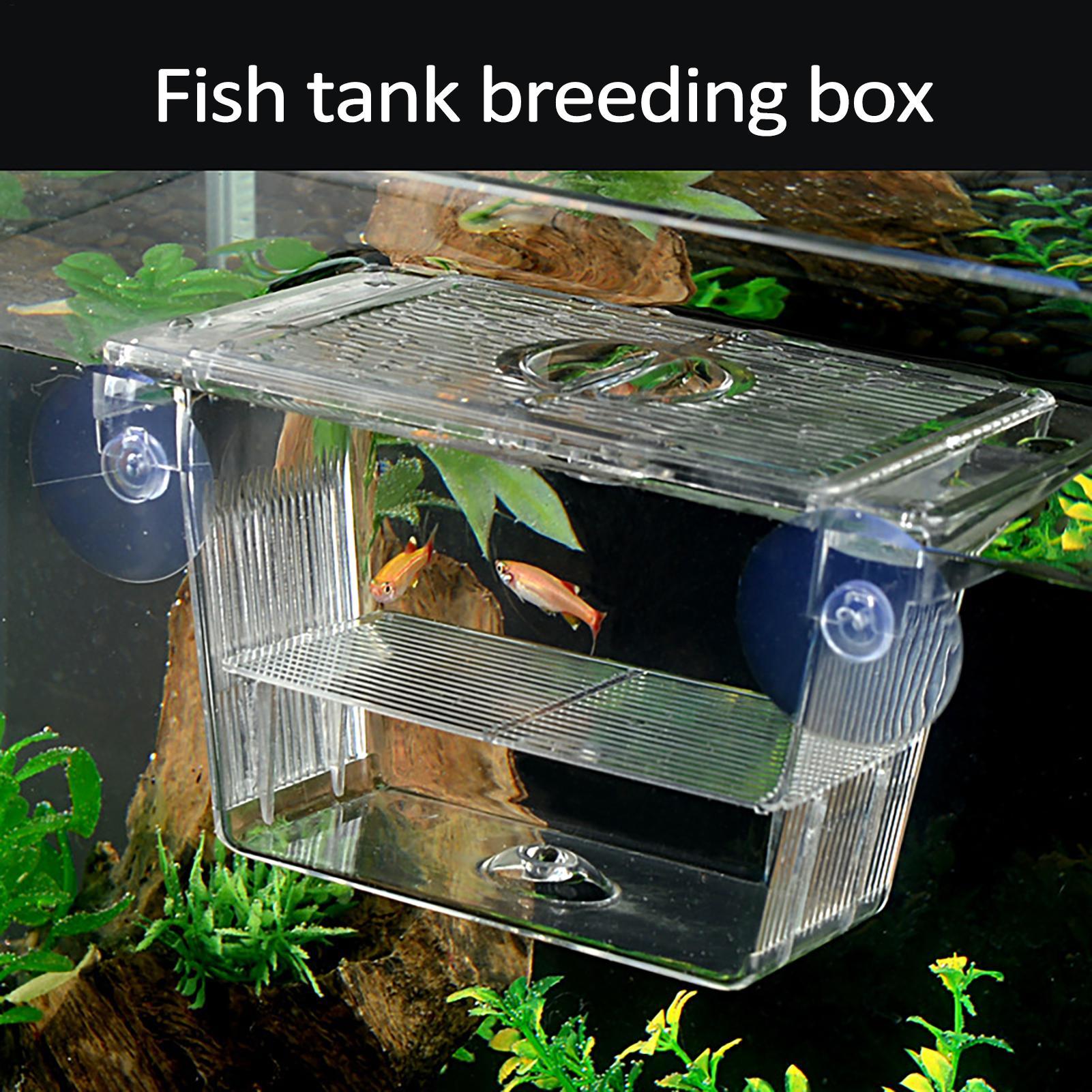 Aquarium Fish In Bowl - Balık Tankı için Yetiştirici Kutusu Şeffaf