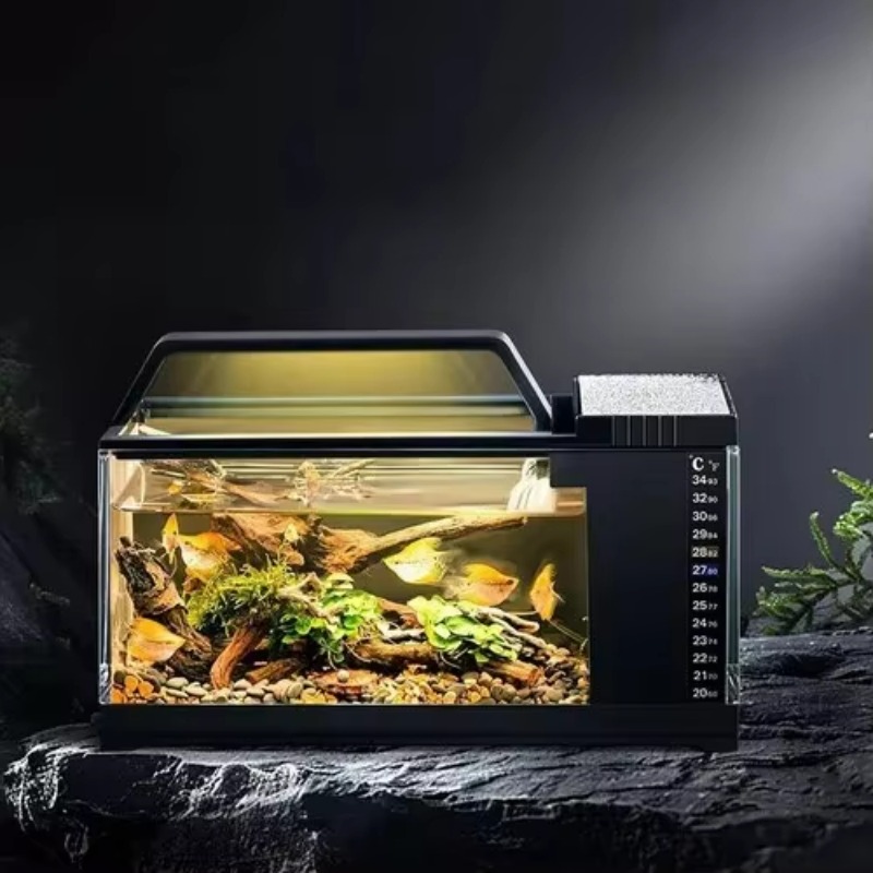 Aquarium Fish Low Maintenance - Güney Amerika Tarzı Akvaryum - Yan