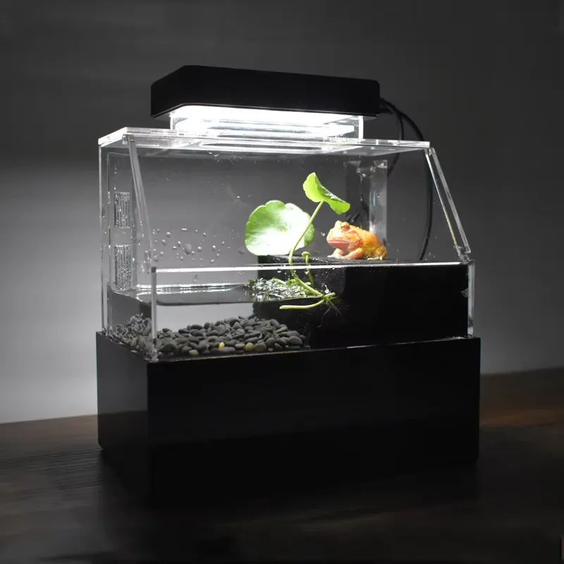 Aquarium Fish For Sale - Relaxlines Özel Tasarım Masaüstü Akvaryum Mini