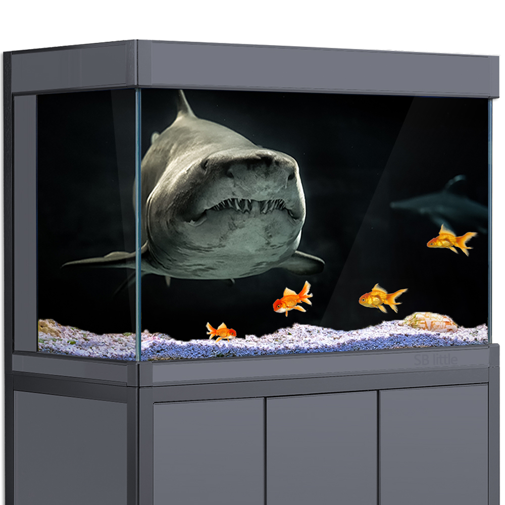 Aquarium Fish Wallpaper Hd - Akvaryum Arka Plan 3D Köpekbalığı Siyah