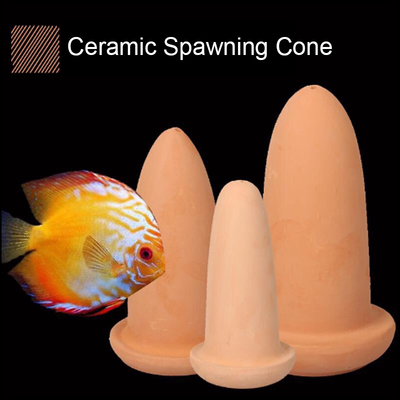 Aquarium Fish Hiding Places - Diskus Balıkları ve Melek Balıkları için