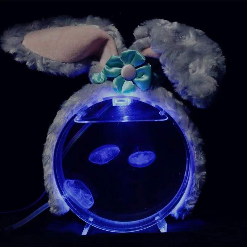 Akvaryum masaüstü denizanası t - Aquarium Fish In Bowl incelemesi ve fiyatı