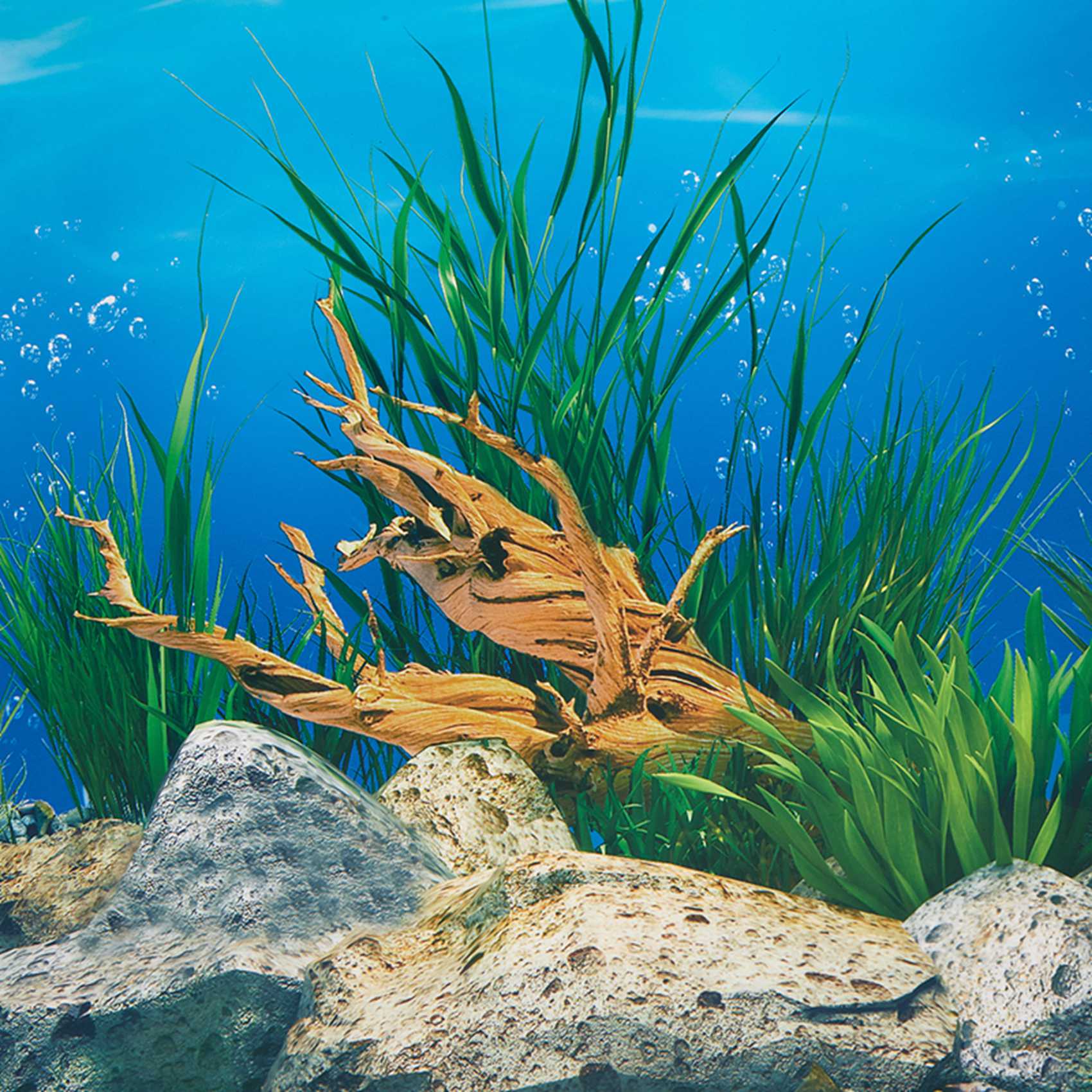 AB33-Akvaryum Arka Plan Kağıdı - Aquarium Fish Wallpaper Hd incelemesi ve fiyatı