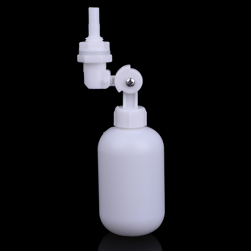 Sıcak Fırsat Sıcak Fırsat 1 Ad - Aquarium Fish For Sale incelemesi ve fiyatı