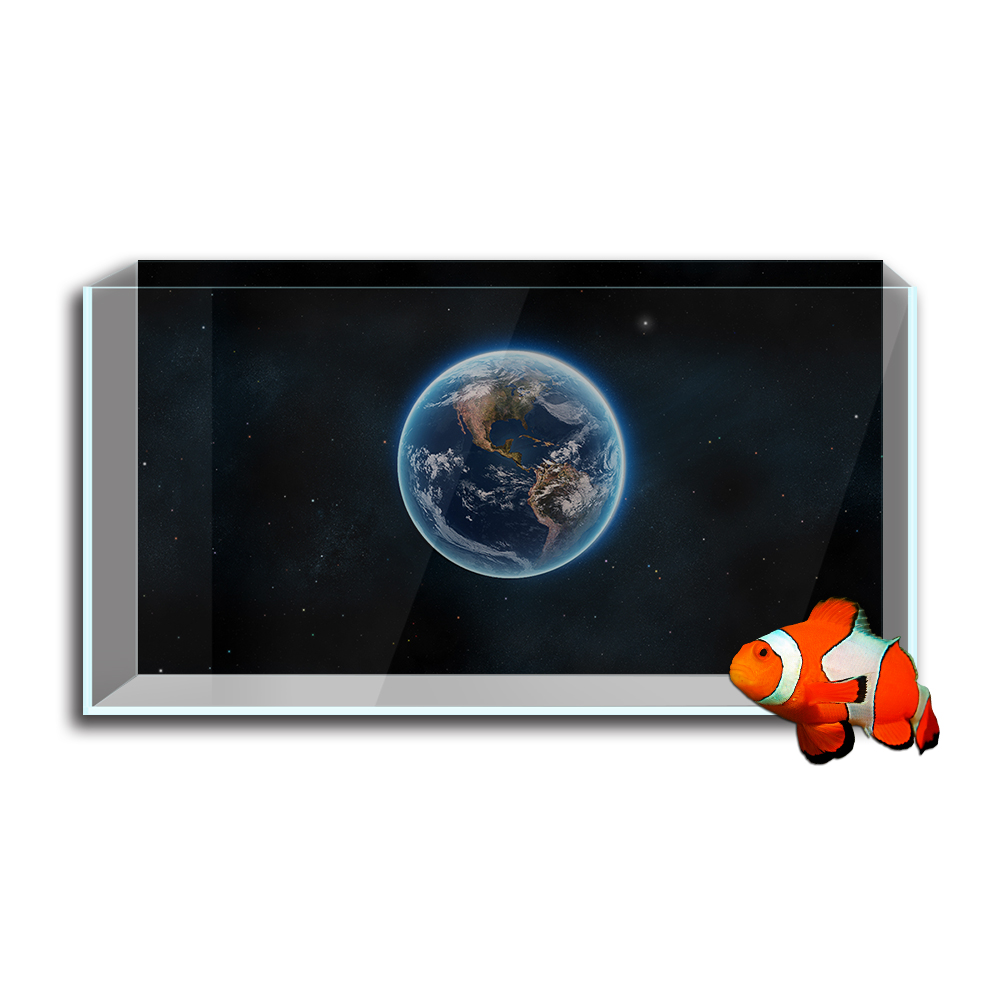Akvaryum balık tankı arka plan - Aquarium Fish Wallpaper Hd incelemesi ve fiyatı