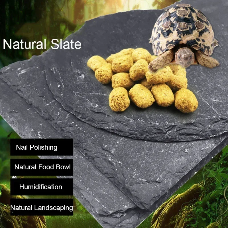 Doğal kayrak akvaryum Pet sürü - Aquarium Fish In Bowl incelemesi ve fiyatı