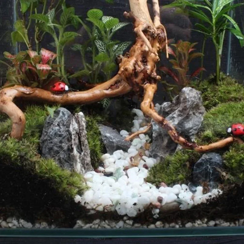 Doğal ağaç gövdesi Driftwood a - Aquarium Fish Hiding Places incelemesi ve fiyatı