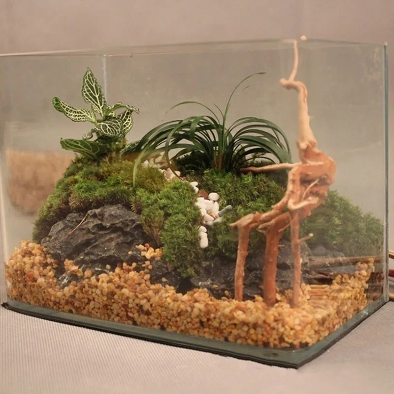 Doğal ağaç gövdesi Driftwood a - Aquarium Fish Hiding Places incelemesi ve fiyatı