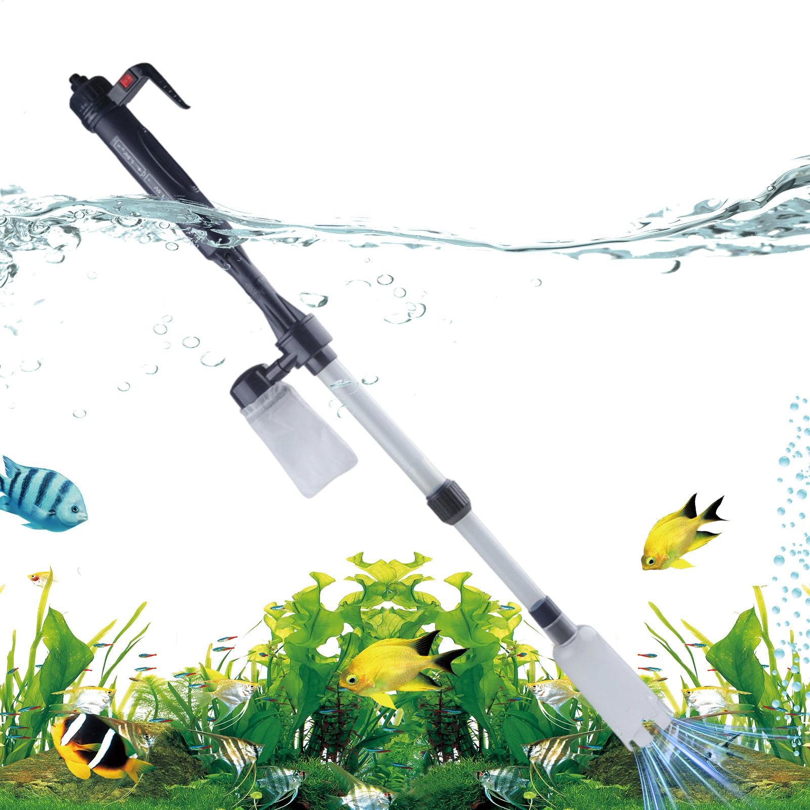 Sıcak satış Akvaryum Süpürgesi - Aquarium Fish For Sale incelemesi ve fiyatı