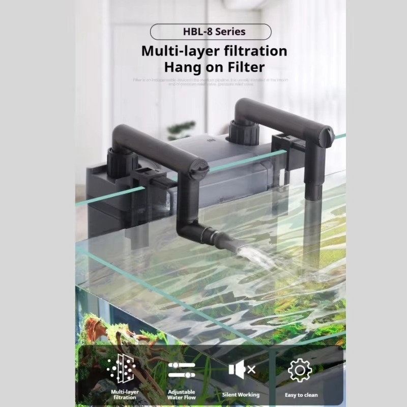 Sıcak Fırsat Profesyonel Akvar - Aquarium Fish For Sale incelemesi ve fiyatı