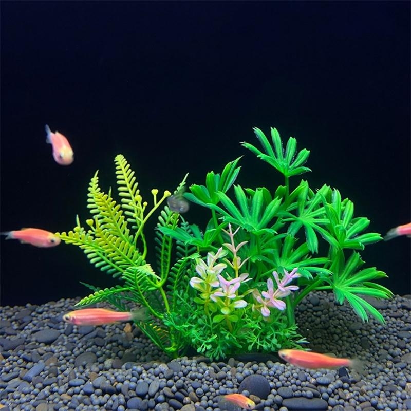 Yapay Akvaryum Dekorasyon Bitk - Aquarium Fish For Sale incelemesi ve fiyatı