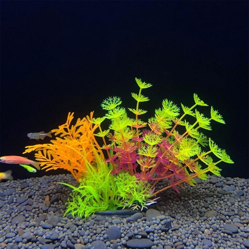 Yapay Akvaryum Dekorasyon Bitk - Aquarium Fish For Sale incelemesi ve fiyatı