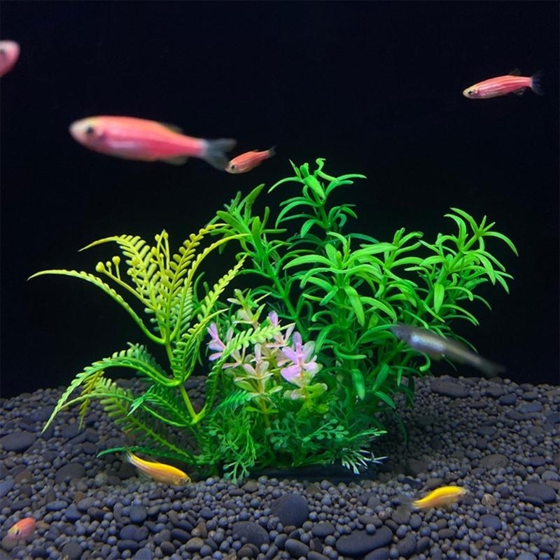 Yapay Akvaryum Dekorasyon Bitk - Aquarium Fish For Sale incelemesi ve fiyatı