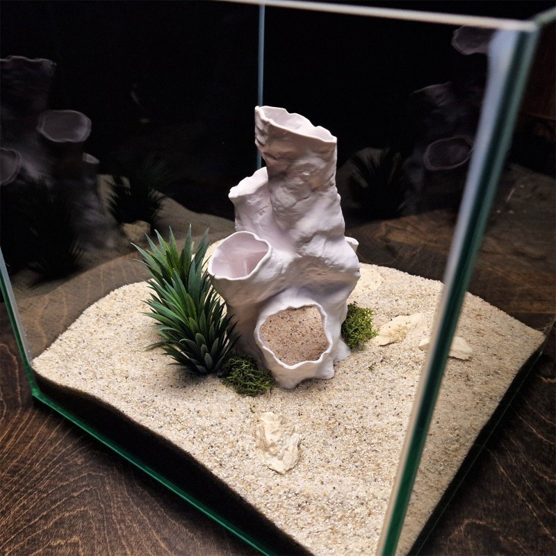 Sıcak Fırsat 3D Baskılı Mercan - Aquarium Fish For Sale incelemesi ve fiyatı