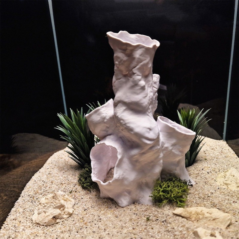 Sıcak Fırsat 3D Baskılı Mercan - Aquarium Fish For Sale incelemesi ve fiyatı