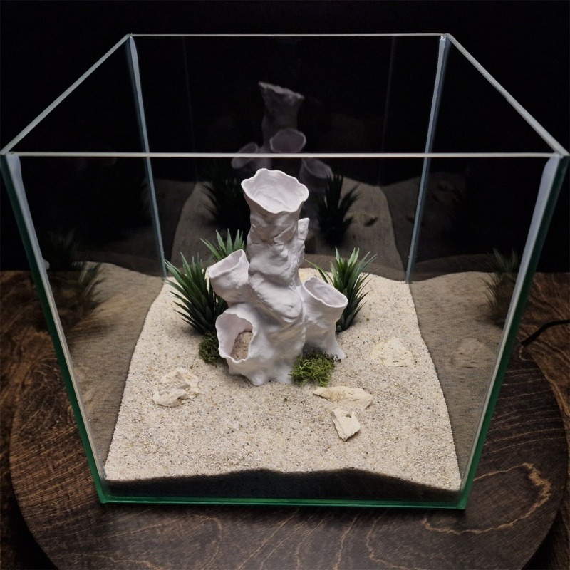 Sıcak Fırsat 3D Baskılı Mercan - Aquarium Fish For Sale incelemesi ve fiyatı