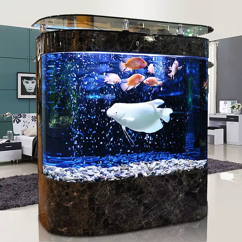 Büyük Kavisli Akvaryum, Ayaklı - Aquarium Fish Low Maintenance incelemesi ve fiyatı