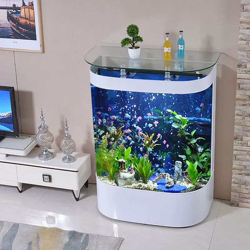 Büyük Kavisli Akvaryum, Ayaklı - Aquarium Fish Low Maintenance incelemesi ve fiyatı
