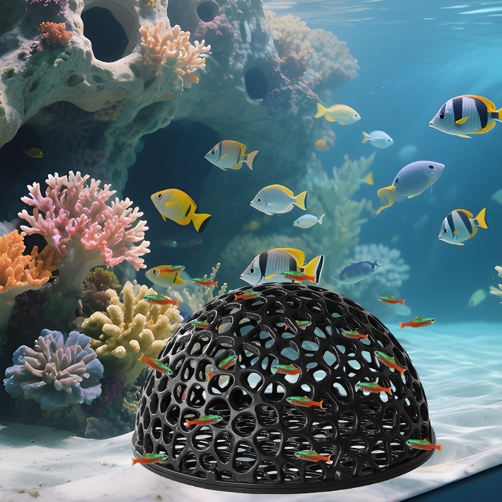 Küçük Balıklar ve Karidesler İ - Aquarium Fish Hiding Places incelemesi ve fiyatı