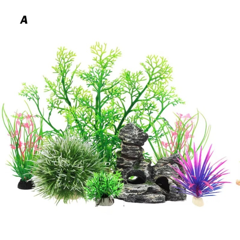 10 adet Sıcak Satış Yeni Gelen - Aquarium Fish For Sale incelemesi ve fiyatı