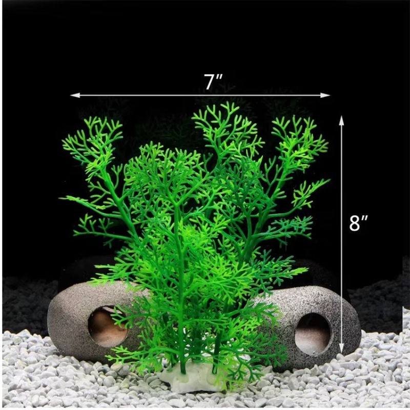 10 adet Sıcak Satış Yeni Gelen - Aquarium Fish For Sale incelemesi ve fiyatı
