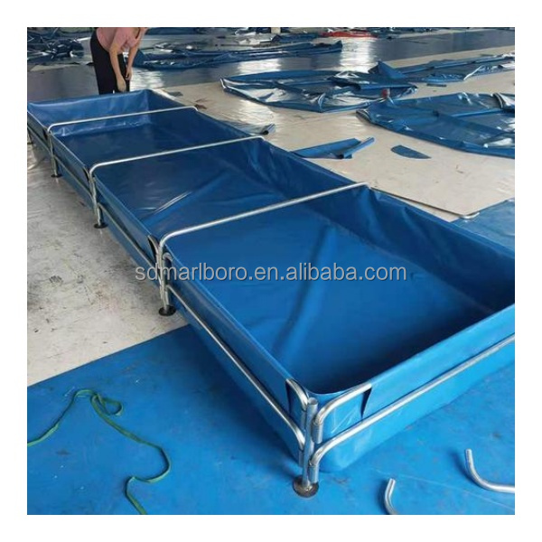 AIROW Özel Ticari Yüksek Kalit - Aquarium Fish For Sale incelemesi ve fiyatı