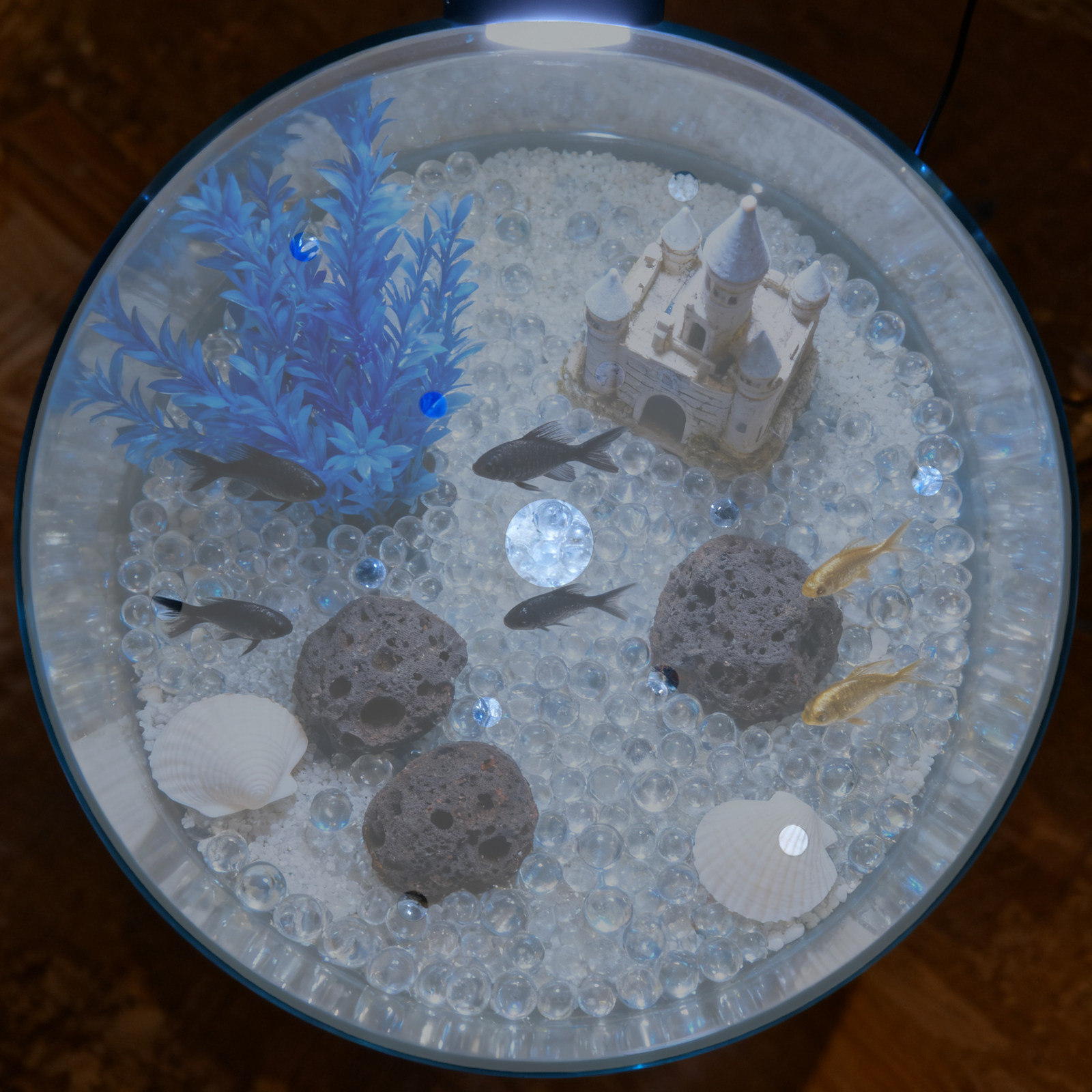 Akrilik Yuvarlak Balık Tankı K - Aquarium Fish In Bowl incelemesi ve fiyatı