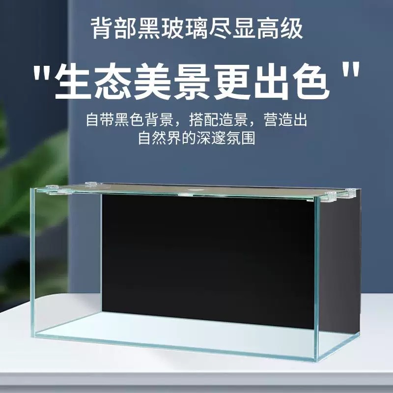 Masaüstü Ofis Akvaryumu Taşına - Aquarium Fish In Bowl incelemesi ve fiyatı