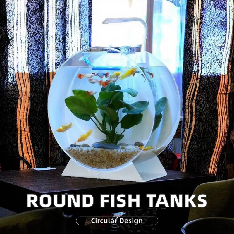 Sıcak Fırsat Modern Çevre Dost - Aquarium Fish For Sale incelemesi ve fiyatı