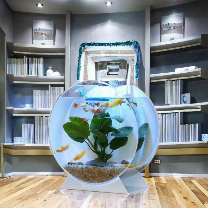 Sıcak Fırsat Modern Çevre Dost - Aquarium Fish For Sale incelemesi ve fiyatı