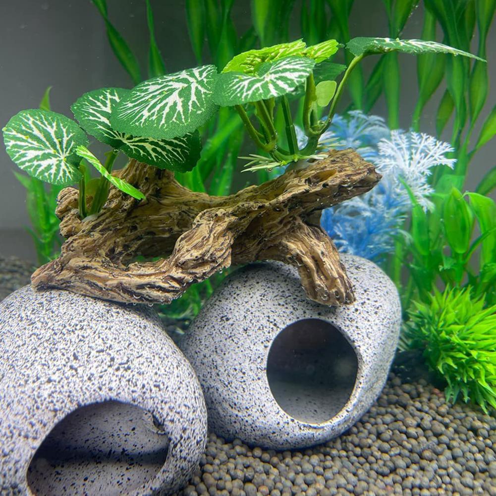 Az Bakım Gerektiren Balık Tank - Aquarium Fish Low Maintenance incelemesi ve fiyatı