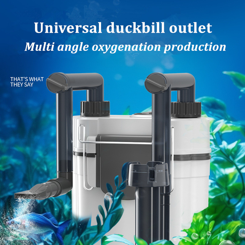 Sıcak Fırsat Askılı Akvaryum F - Aquarium Fish For Sale incelemesi ve fiyatı
