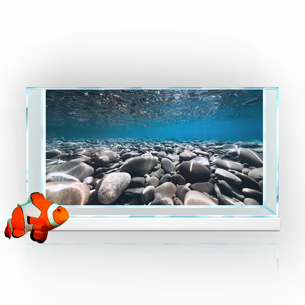 Akvaryum Arka Plan Etiketi, Ne - Aquarium Fish Wallpaper Hd incelemesi ve fiyatı