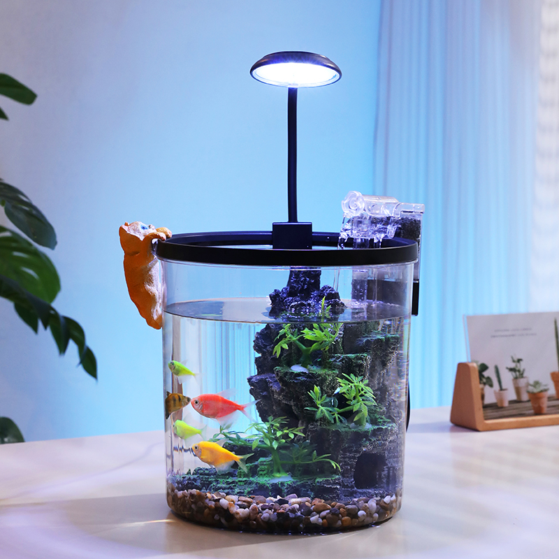 Kompakt Yuvarlak Japon Balığı  - Aquarium Fish Low Maintenance incelemesi ve fiyatı
