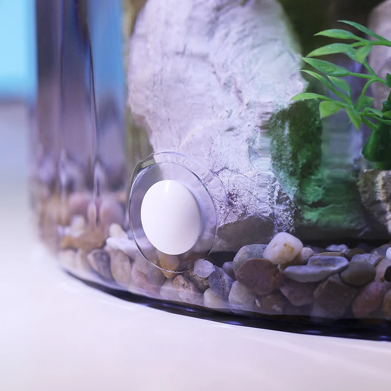 Kompakt Yuvarlak Japon Balığı  - Aquarium Fish Low Maintenance incelemesi ve fiyatı
