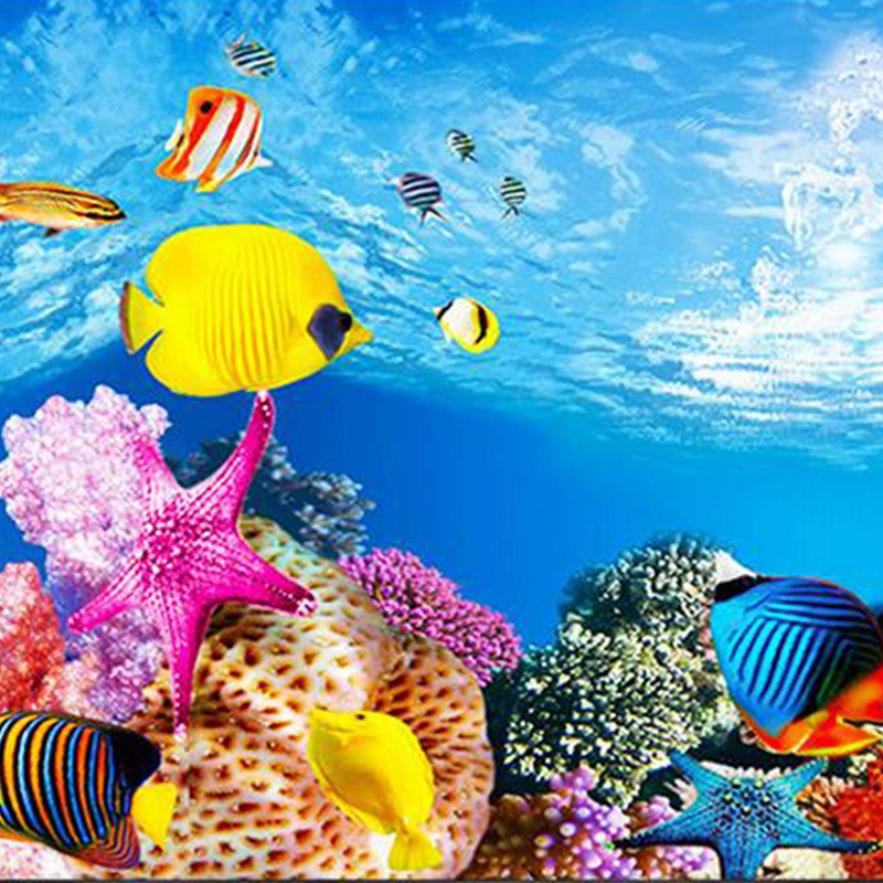 BAAU Akvaryum Arka Plan Kağıdı - Aquarium Fish Wallpaper Hd incelemesi ve fiyatı