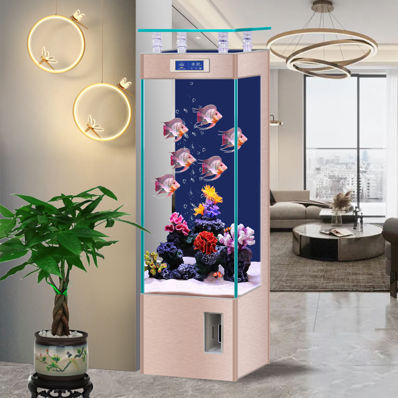 Ultra Şeffaf Cam Küçük ve Orta - Aquarium Fish Low Maintenance incelemesi ve fiyatı