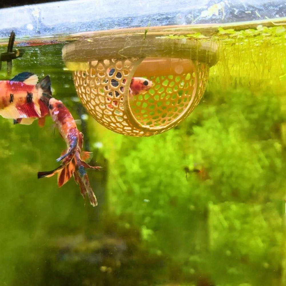 Akvaryum Yüzen Mağara Balık Ka - Aquarium Fish Hiding Places incelemesi ve fiyatı