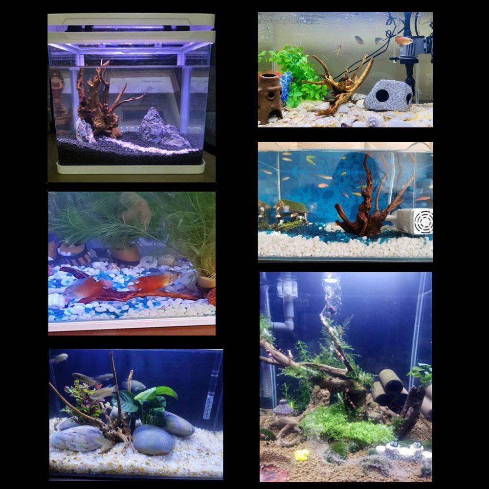 20-25CM Büyük Akvaryum Driftwo - Aquarium Fish In Bowl incelemesi ve fiyatı