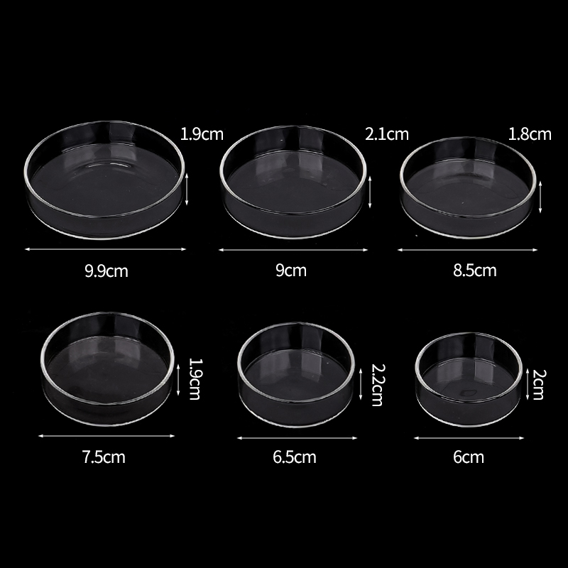 Karides besleme kabı Yüksek Şe - Aquarium Fish In Bowl incelemesi ve fiyatı